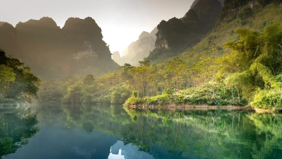 稳定性高标准高端